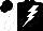 Silk - Black, white circle, white lightning bolt, black circle on white sleeves