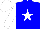 Silk - Blue, white star, blue circle on white sleeves, white cap