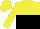 Silk - Yellow and black halved horizontally, yellow sleeves, yellow cap