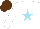 Silk - White,sky blue star,brown cap