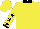 Silk - Yellow, black collar, black vm and 41 emblem, black stars and cuffs on sleeves, yellow cap