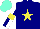 Silk - Navy, yellow star, armlets, aqua, white quarters cap