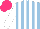 Silk - Light blue, white stripes, sleeves, hot pink cap