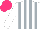 Silk - White, silver stripes, hot pink cap