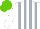 Silk - White, silver stripes, light green cap