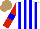 Silk - White, blue stripes, red sleeves, blue armlets, light brown cap