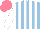 Silk - Light blue, white stripes, sleeves, salmon cap