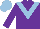 Silk - Purple body, light blue chevron, purple arms, light blue cap