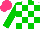 Silk - White, green check, sleeves, hot pink cap