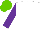 Silk - White, purple sleeves, light green cap