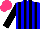 Silk - Blue, black stripes, black sleeves, hot pink cap