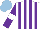 Silk - White, purple stripes, purple sleeves, white armlets, light blue cap