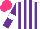 Silk - White, purple stripes, purple sleeves, white armlets, hot pink cap