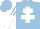 Silk - light blue, white cross of Lorraine, light blue sleeves with white stripes, light blue and white halved cap