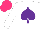 Silk - White, purple spade, hot pink cap