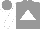 Silk - grey, white triangle, sleeves , visor