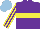 Silk - Purple,yellow hoop,stripes sleeves, light blue cap