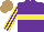 Silk - Purple,yellow hoop,stripes sleeves, light brown cap