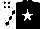 Silk - Black body, white star, white arms, black diamonds, white cap, black diamonds