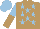 Silk - light brown, light blue stars, light blue sleeves, light blue and light brown halved cap