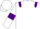 Silk - White, Purple epaulets and armlets