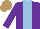 Silk - Purple, light blue stripe, light brown cap