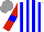 Silk - White, blue stripes, red sleeves , blue armlets, grey cap