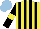 Silk - Yellow, black stripes, black sleeves ,yellow armlets, light blue cap