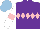 Silk - Purple, pink diamond hoop,white sleeves, pink armbands, light blue cap