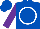Silk - Royal blue, white circle, purple sleeves