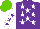 Silk - Purple, white stars, white sleeves, purple stars sleeves, light green cap