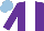 Silk - Purple, white stripe, light blue cap
