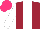 Silk - Maroon, white stripe, white sleeves, hot pink cap