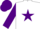 Silk - White, Purple star and star on sleeves, Purple cap