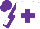 Silk - White, purple cross, white sleeves, purple armlets, cuffs, quarters cap