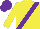 Silk - Yellow, purple right sash, fuzzy wuzzy cap