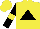 Silk - Yellow, black double triangle, sleeves with yellow armband, fuzzy wuzzy cap
