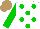 Silk - White, green spots, green sleeves, light brown cap