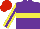 Silk - Purple, yellow hoop, yellow sleeves, purple stripe, red cap