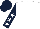 Silk - White, white stars on dark blue sleeves, white star on dark blue cap