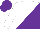 Silk - white and purple halved diagonally, purple cap