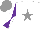 Silk - White, grey star, purple sleeves, white diablo, grey cap