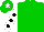 Silk - Green,white four leaf clover,sleeves,black spots,green cap,white star