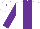 Silk - White, purple stripe, sleeves white, cap white, purple button