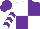 Silk - white and purple quarters, purple chevrons on white sleeves, purple cap