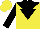 Silk - Yellow, black inverted triangle, black yoke, black sleeves, yellow cap