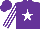 Silk - Purple, white star, white and purple striped sleeves