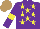 Silk - Purple, yellow stars, yellow armbands, light brown cap