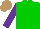 Silk - Green, green diagonal halves, purple sleeves, light brown cap