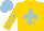 Silk - gold, light blue fleur de lys, gold sleeves, light blue stars, light blue cap